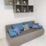 Rak Vis